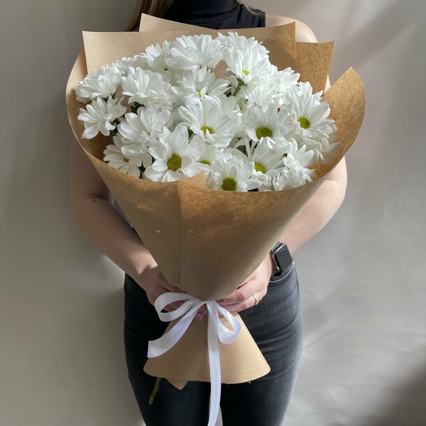 5 Коричневых Сантини Ромашка